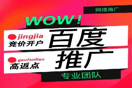 SEM账户托管助力企业增长案例
